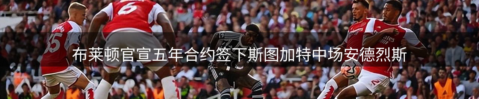 焦点展望
